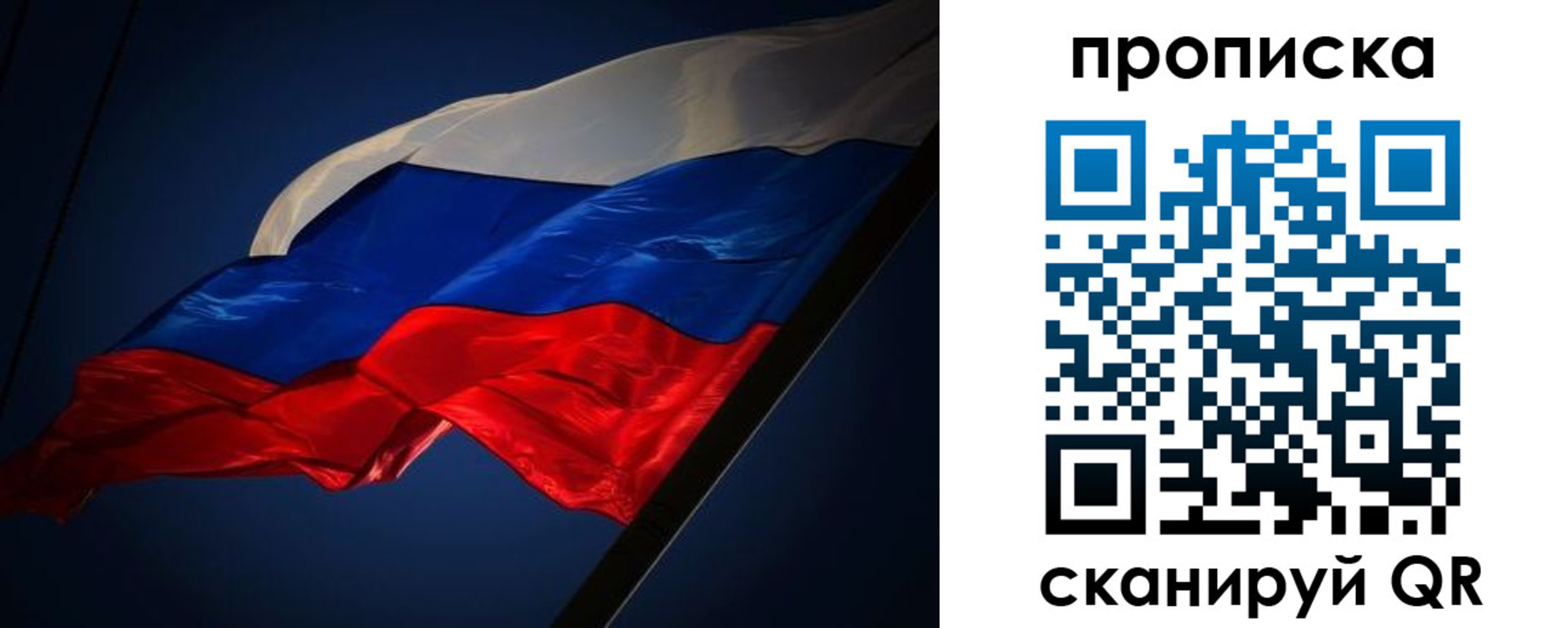 прописка гарантия в Ельце